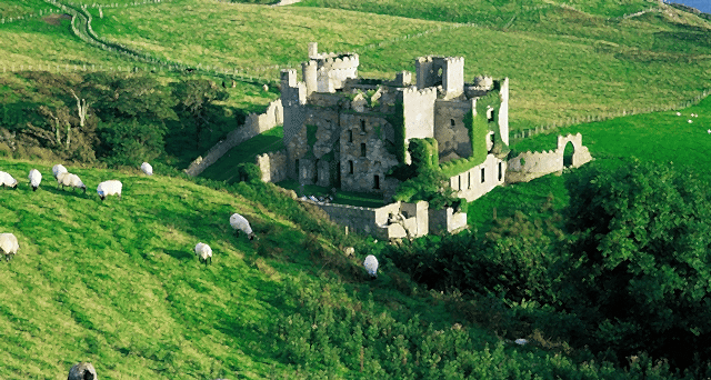 İrlanda'da Dil Eğitimi