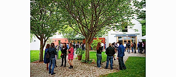 İrlanda'da Dil Eğitimi 