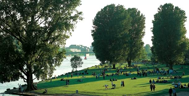Heidelberg dil okulları ve dil eğitimi fiyatları